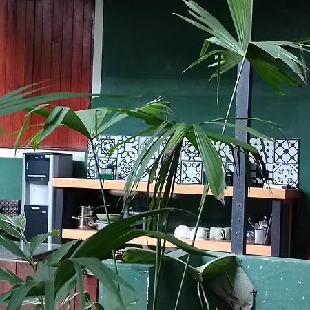 Hotel Boutique The Green Jungle House Puerto Viejo de Talamanca Eksteriør bilde