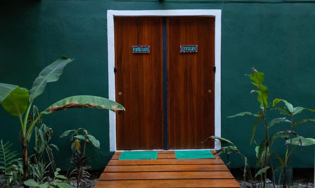Hotel Boutique The Green Jungle House Puerto Viejo de Talamanca Eksteriør bilde