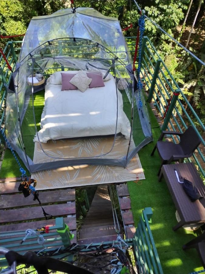 Hotel Boutique The Green Jungle House Puerto Viejo de Talamanca Eksteriør bilde