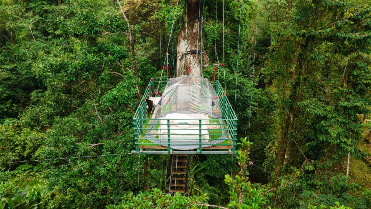 Hotel Boutique The Green Jungle House Puerto Viejo de Talamanca Eksteriør bilde