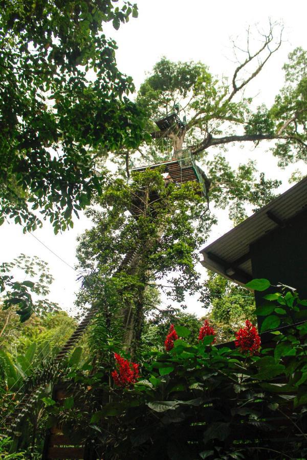 Hotel Boutique The Green Jungle House Puerto Viejo de Talamanca Eksteriør bilde