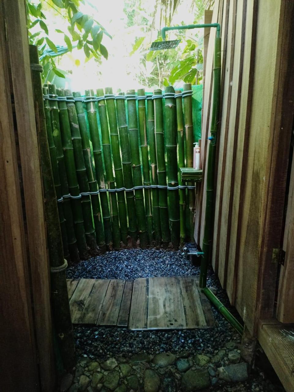 Hotel Boutique The Green Jungle House Puerto Viejo de Talamanca Eksteriør bilde