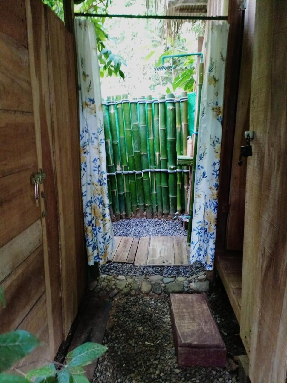 Hotel Boutique The Green Jungle House Puerto Viejo de Talamanca Eksteriør bilde